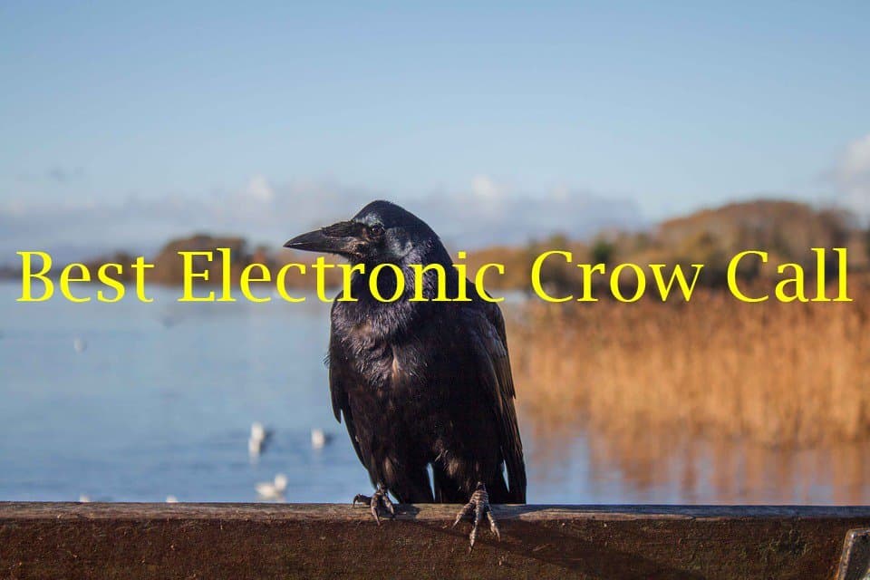 Best Electronic Crow Call Reviews
