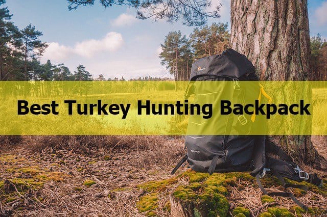 Best Turkey Hunting Backpack