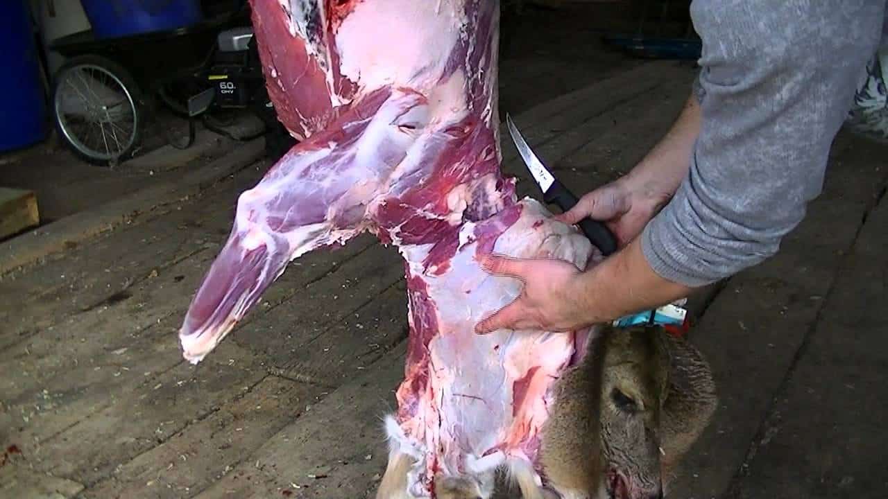 Processing a Deer