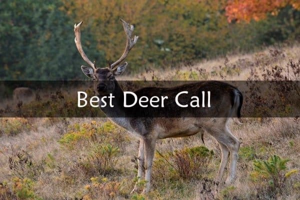 Best Deer Call Reviews