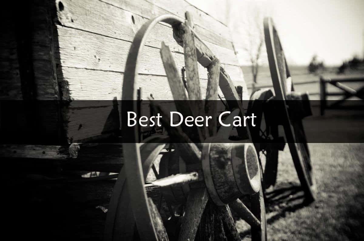 Best Deer Cart Reviews of 2017 2018 Catch Them Easy