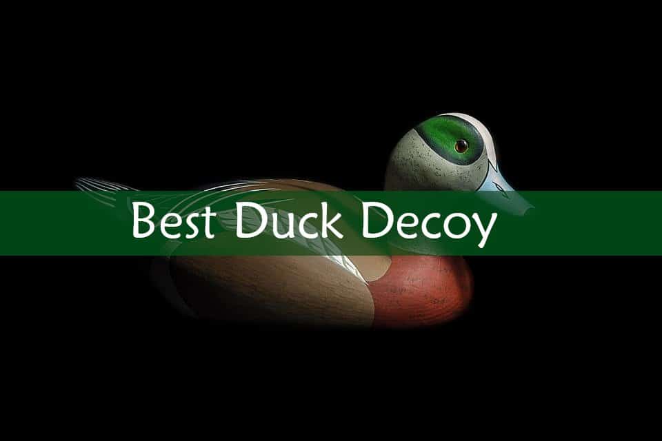 Best Duck Decoy Reviews of 2018
