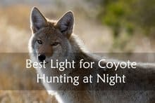 Best Light For Coyote Hunting At Night Reviews