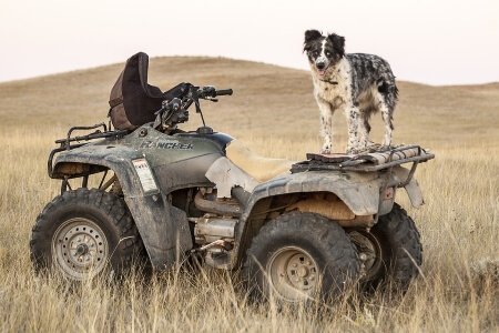 Hunting ATV