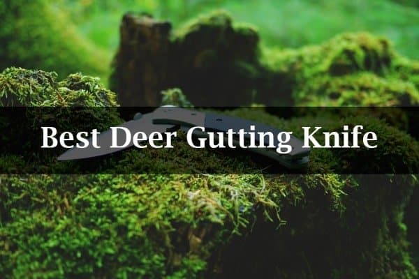 Best Deer Gutting Knife Reviews of 2018