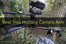 Best Tree Hunting Camera Arm