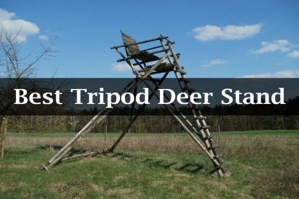 Best Tripod Deer Stand Reviews