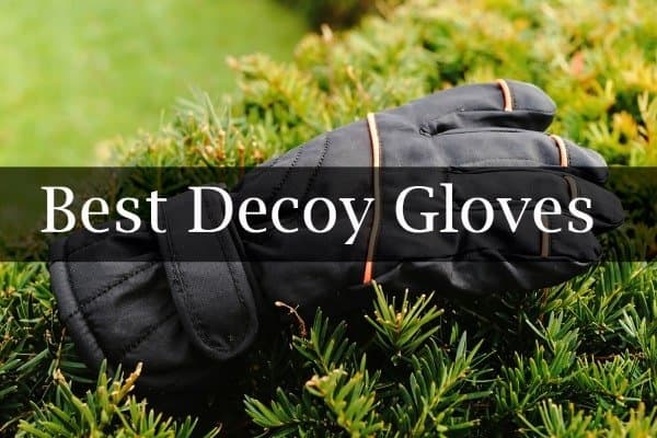 Best Decoy Gloves Reviews