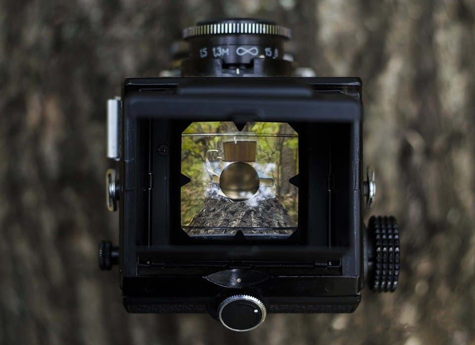 Best Tree Hunting Camera Arm Reviews of 2021 Catch Them Easy