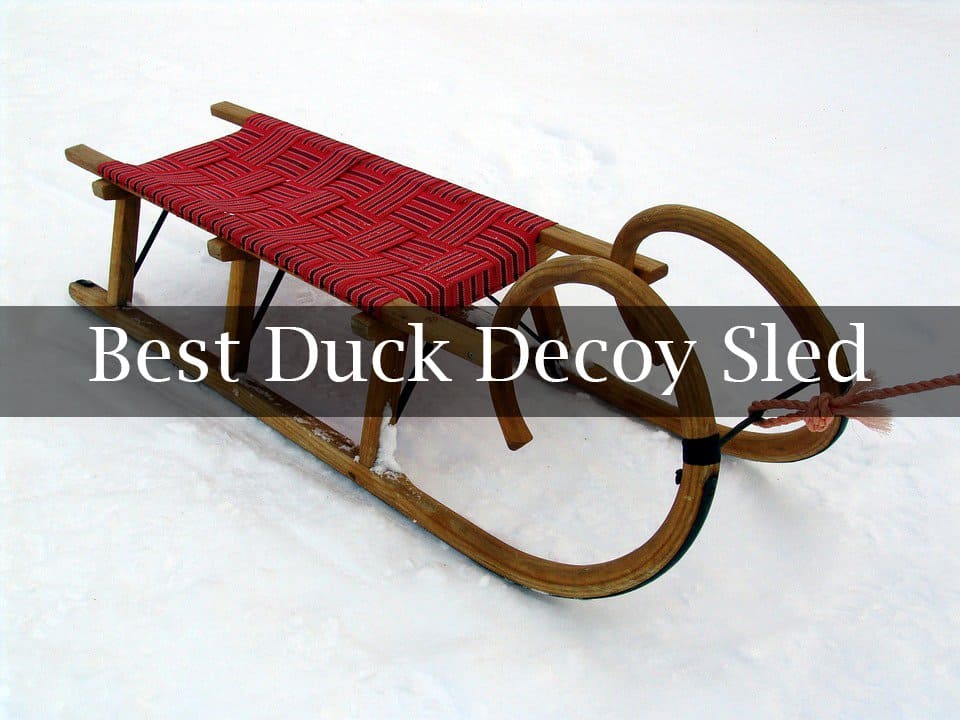 Best Duck Decoy Sled Reviews of 2021 Catch Them Easy
