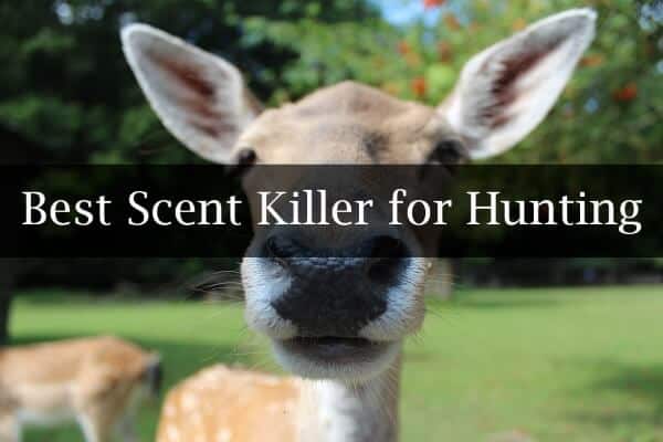 Best Scent Killer for Hunting Reviews