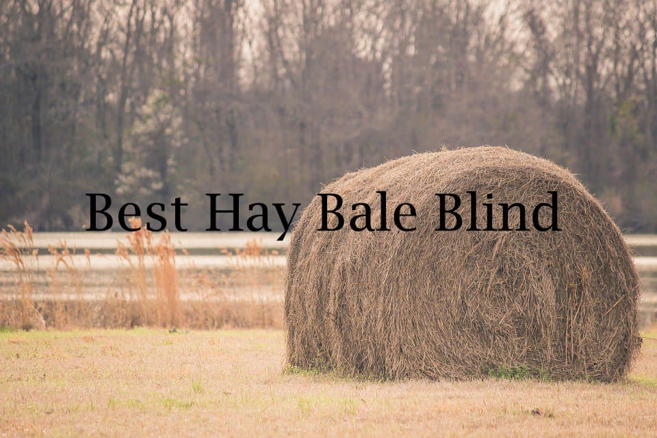 Best Hay Bale Blind Reviews