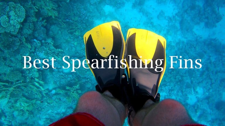 Best Spearfishing Fins Reviews For 2021 Catch Them Easy   Fins 951607 960 720 768x431 