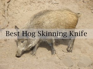 Best Hog Skinning Knife Reviews