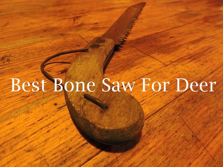 Best Bone Saw For Deer Reviews of 2021 (Updated) Catch Them Easy