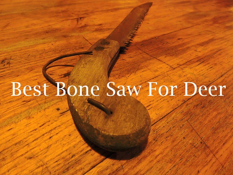 Best Bone Saw For Deer Reviews of 2021 (Updated) Catch Them Easy