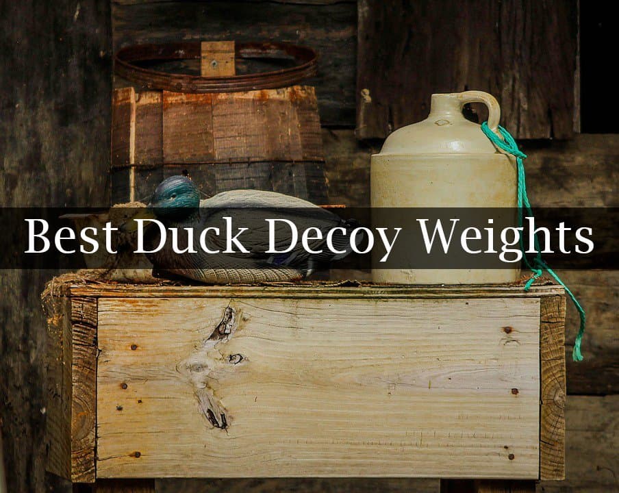 The Best Duck Decoy Weights Reviews for 2021 Catch Them Easy