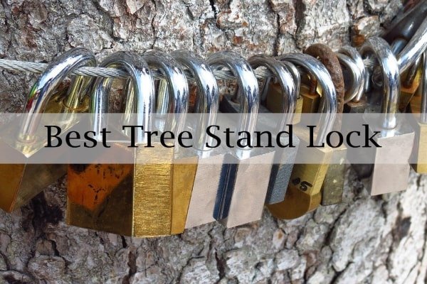 Best Tree Stand Lock Reviews