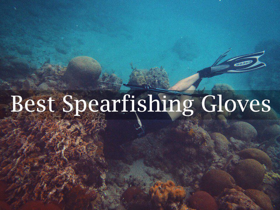 Best Spearfishing Gloves Reviews