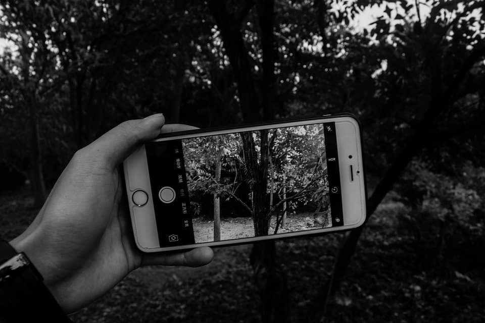 Mobile in Woods