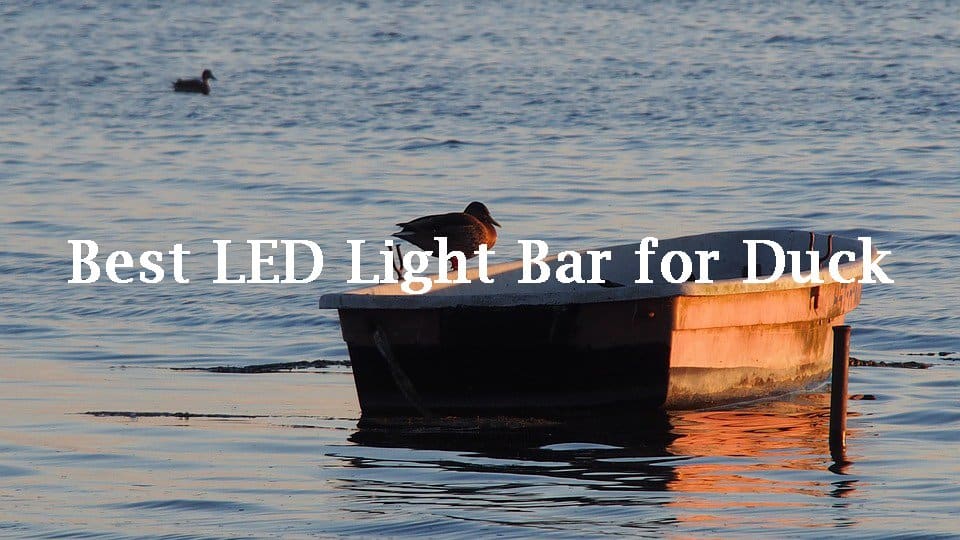 Best LED Light Bar for Duck Boats Reviews of 2021 Catch Them Easy