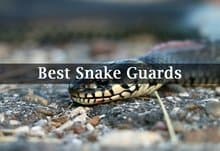 Best Snake Guards Reviews