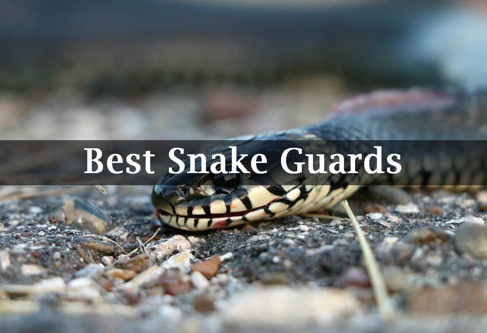 Best Snake Guards of 2019 Reviews & Buying Guide Catch Them Easy