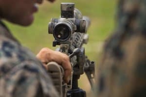 Best Thermal Scope for Hog Hunting