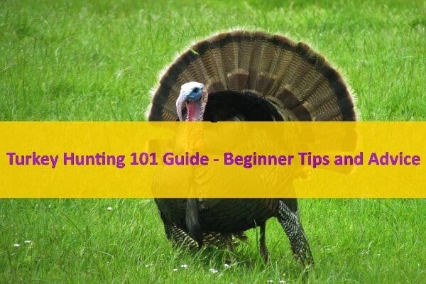 Turkey Hunting 101 Guide for Beginners
