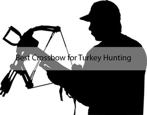 Best Crossbow for Turkey Hunting