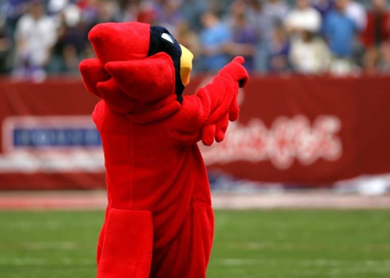 What Does It Mean When You See a Cardinal Bird? - Catch Them Easy